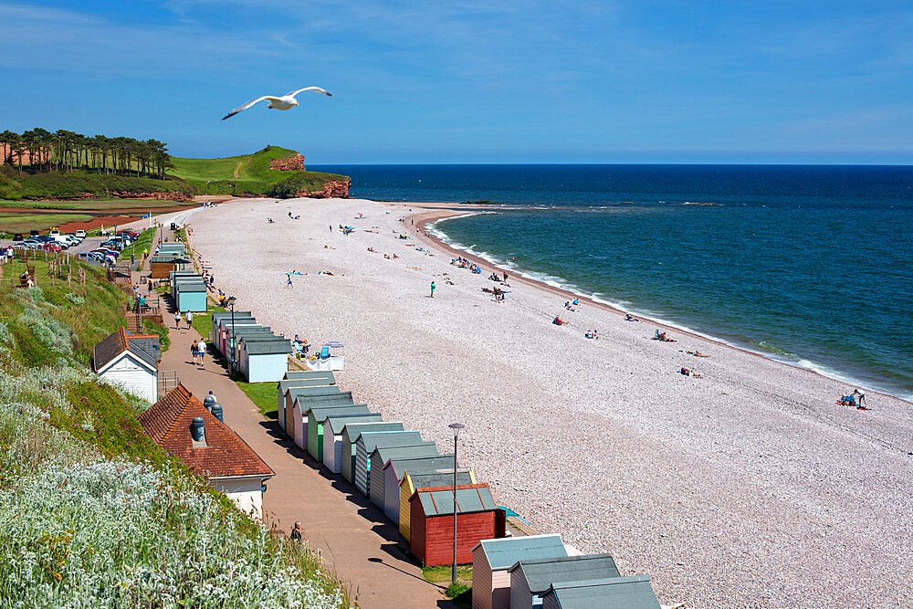 View along shingle beach and beach huts, Budleigh Salterton, Jurassic Coast, Devon, England, United Kingdom, Europe