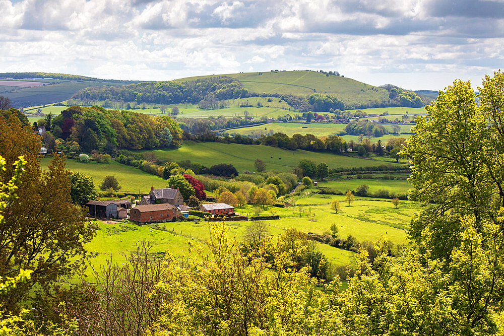 View from Shaftesbury over Cranborne Chase AONB (Area of Outstanding Natural Beauty) scenery to Melbury Beacon, Shaftesbury, Dorset, England, United Kingdom, Europe