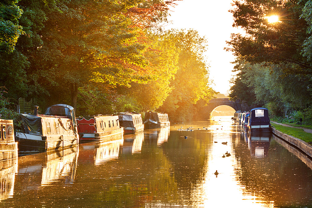 Narrowboats moored on the Kennet and Avon Canal at sunset, Kintbury, Berkshire, England, United Kingdom, Europe