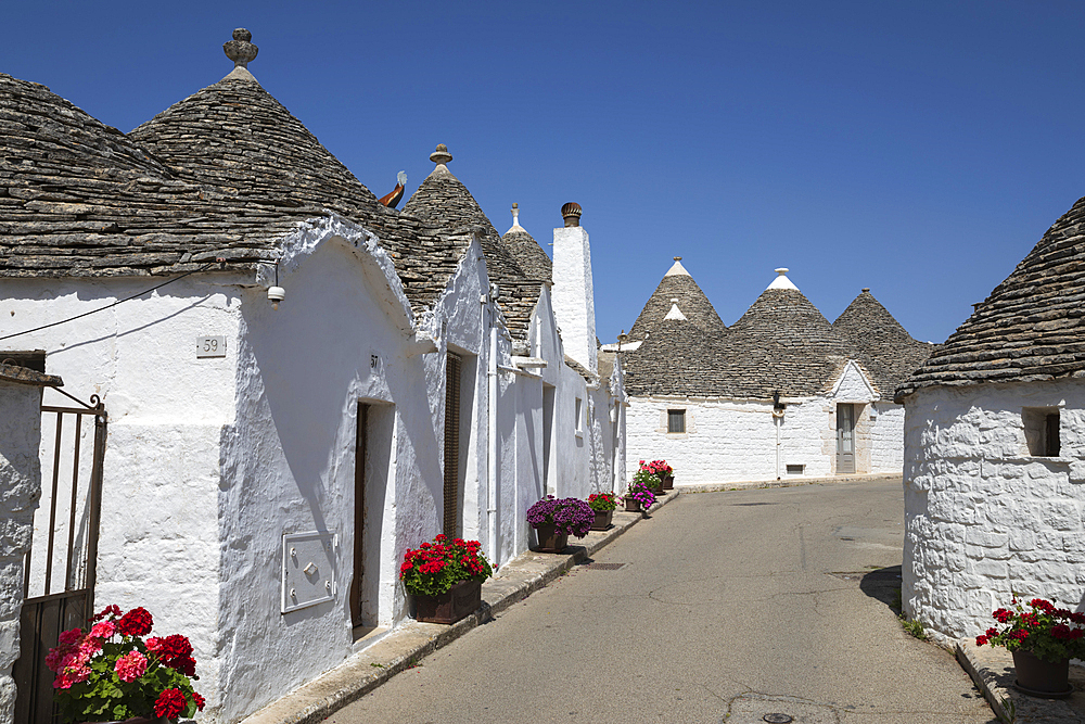 Whitewashed trulli houses along street in the old town, Alberobello, Puglia, Italy, Europe