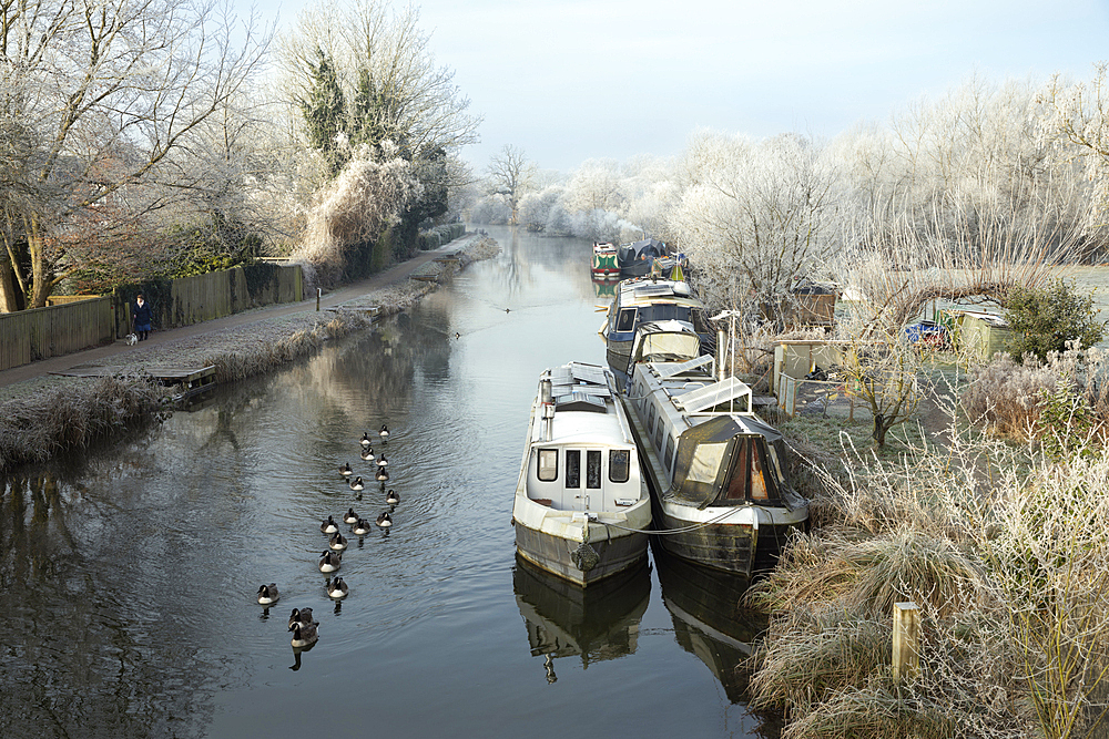 Narrowboats on the Kennet and Avon Canal by Northcroft Park on a frosty winter morning, Newbury, Berkshire, England, United Kingdom, Europe