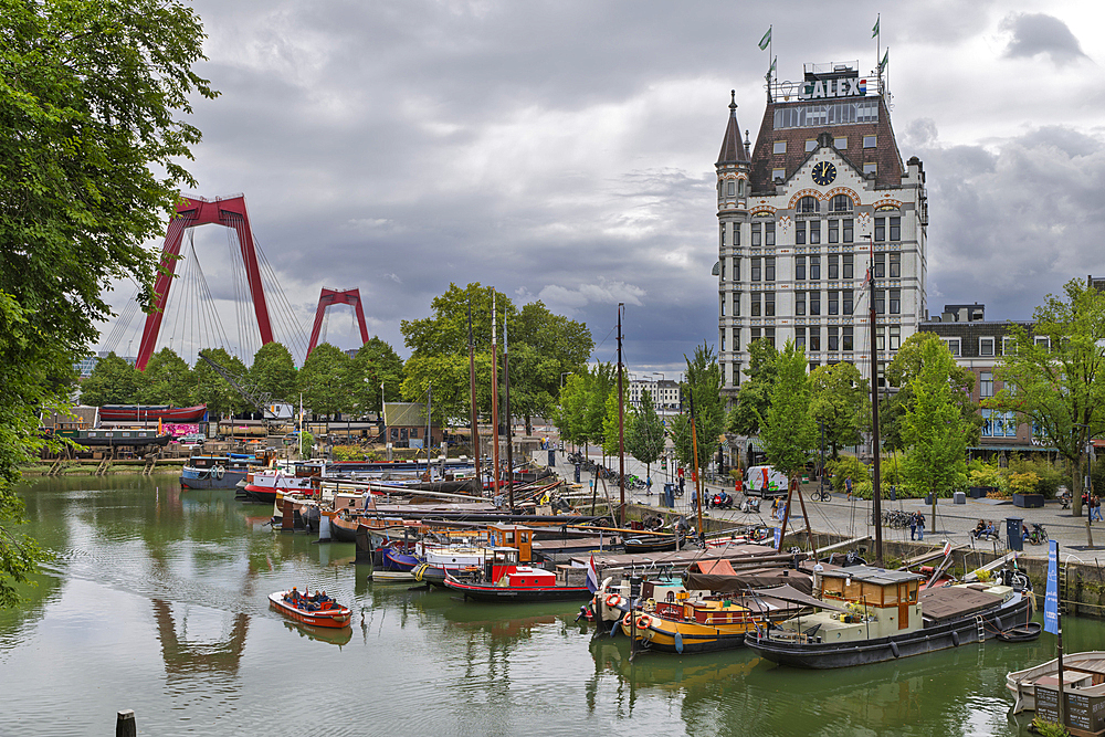 Witte Huis and Oudehaven with Willemsbrug bridge, Rotterdam, Netherlands, Europe