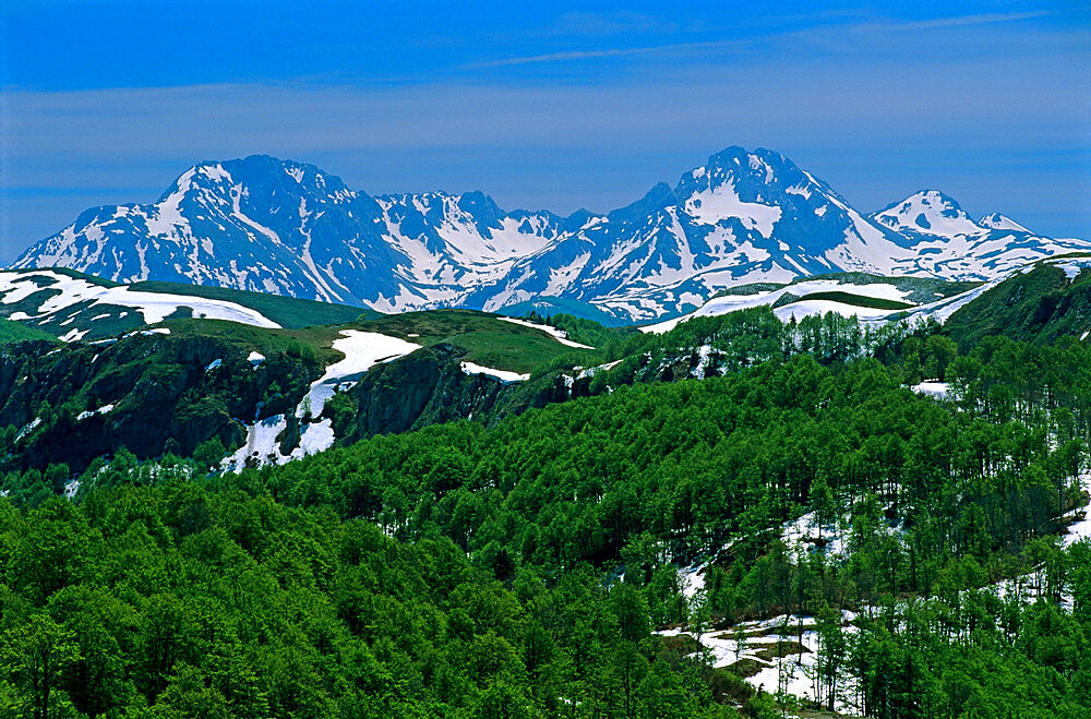 Snow capped mountains, Biogradska National Park, Eastern Highlands, Montenegro, Europe