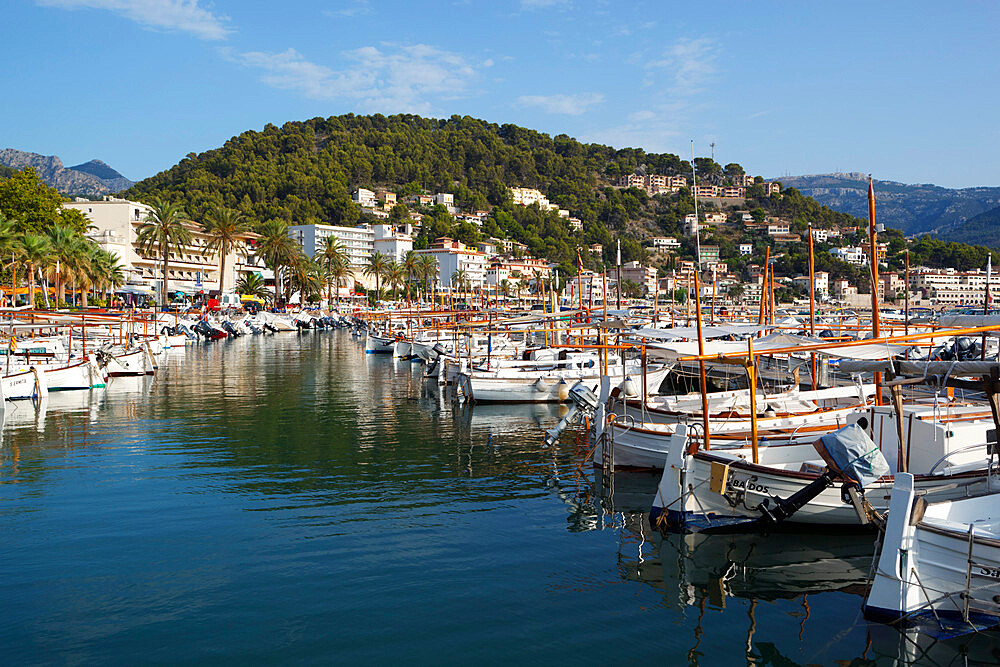 Harbour, Port de Soller, Mallorca (Majorca), Balearic Islands, Spain, Mediterranean, Europe