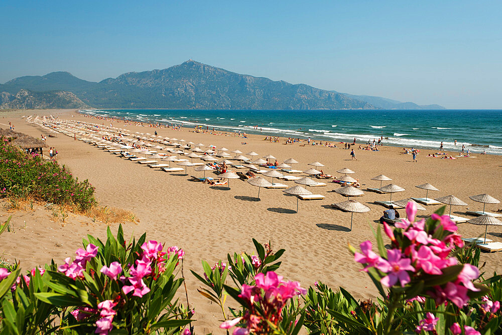 Turtle Beach, near Dalyan, Aegean, Anatolia, Turkey, Asia Minor, Eurasia