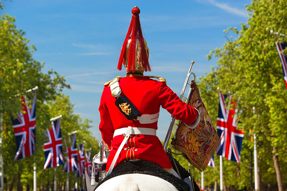 Mounted soldier of the Household Cavalry along The Mall, London, England, United Kingdom, Europe