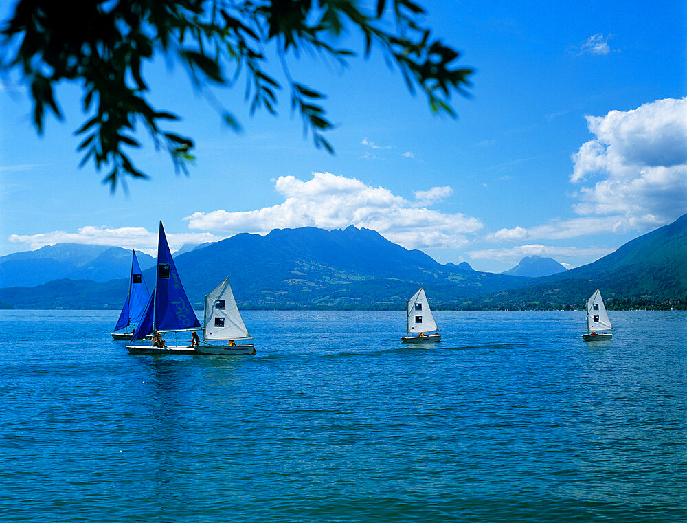 Sailing dinghies, Annecy, Lake Annecy, Rhone Alpes, France, Europe