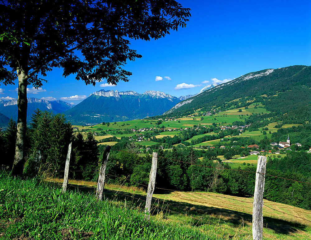 Bauges Mountains, near Annecy, Rhone Alpes, France, Europe