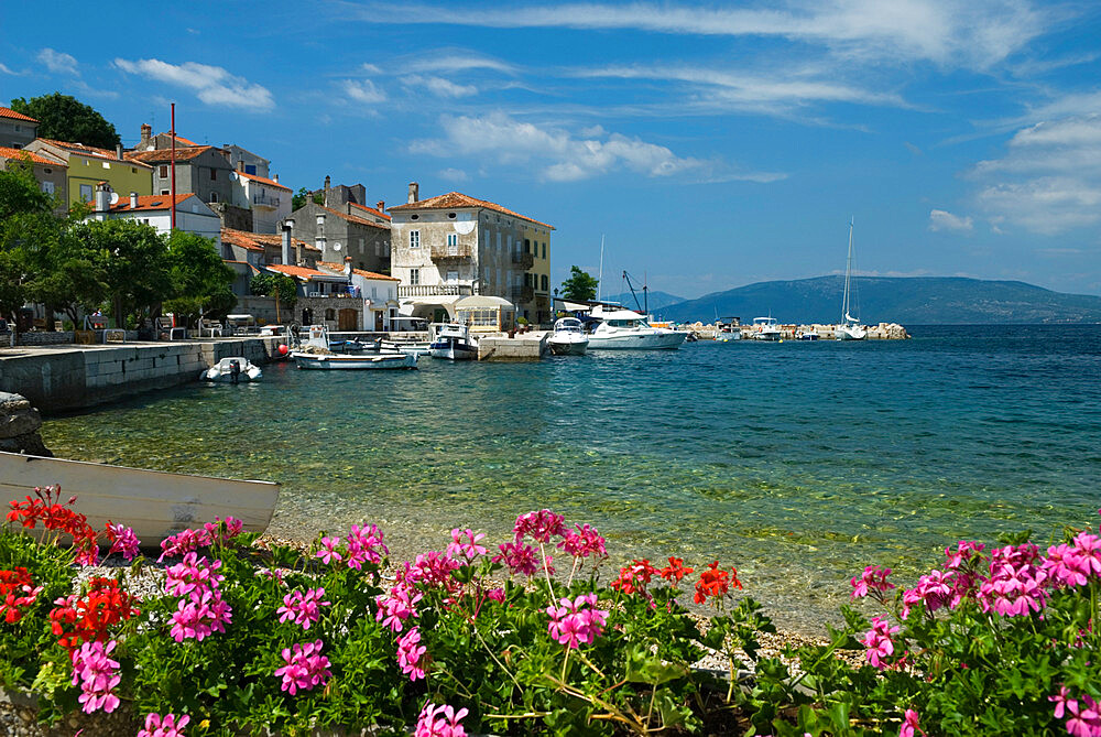 View over fishing village, Valun, Cres Island, Kvarner Gulf, Croatia, Adriatic, Europe