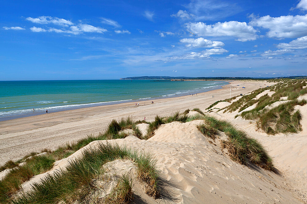 Camber Sands and sand dunes, Camber, East Sussex, England, United Kingdom, Europe