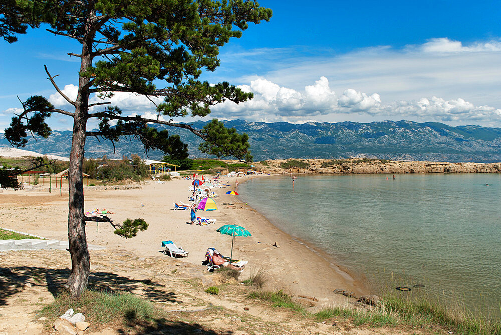 Beach on the Lopar Peninsula, Rab Island, Kvarner Gulf, Croatia, Adriatic, Europe