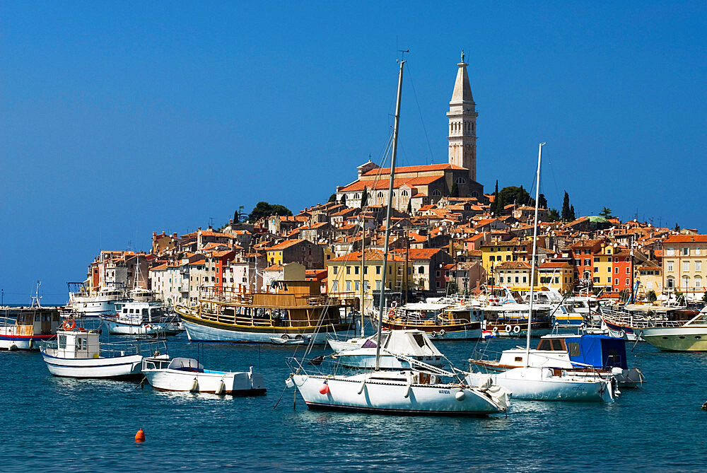 Old Town and St. Euphemia's Church, Rovinj, Istria, Croatia, Adriatic, Europe