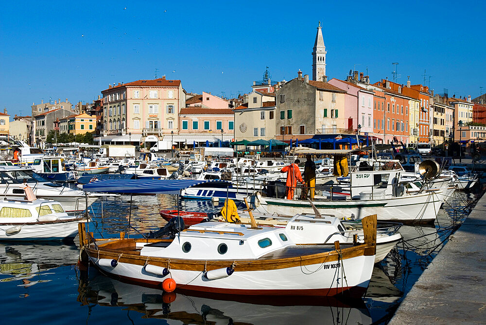 Fishing harbour and St. Euphemia's Church, Rovinj, Istria, Croatia, Adriatic, Europe