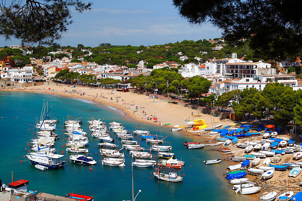 Llafranc, near Palafrugell, Costa Brava, Catalonia, Spain, Mediterranean, Europe