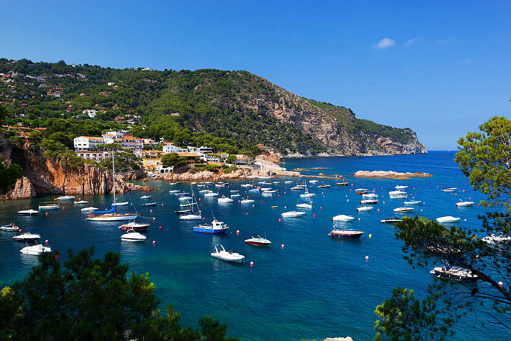 View over bay, Aiguablava, near Begur, Costa Brava, Catalonia, Spain, Mediterranean, Europe