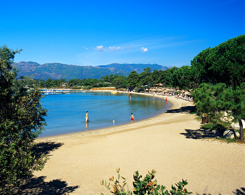 Beach view, Cala Rossa, South East Corsica, Corsica, France, Mediterranean, Europe