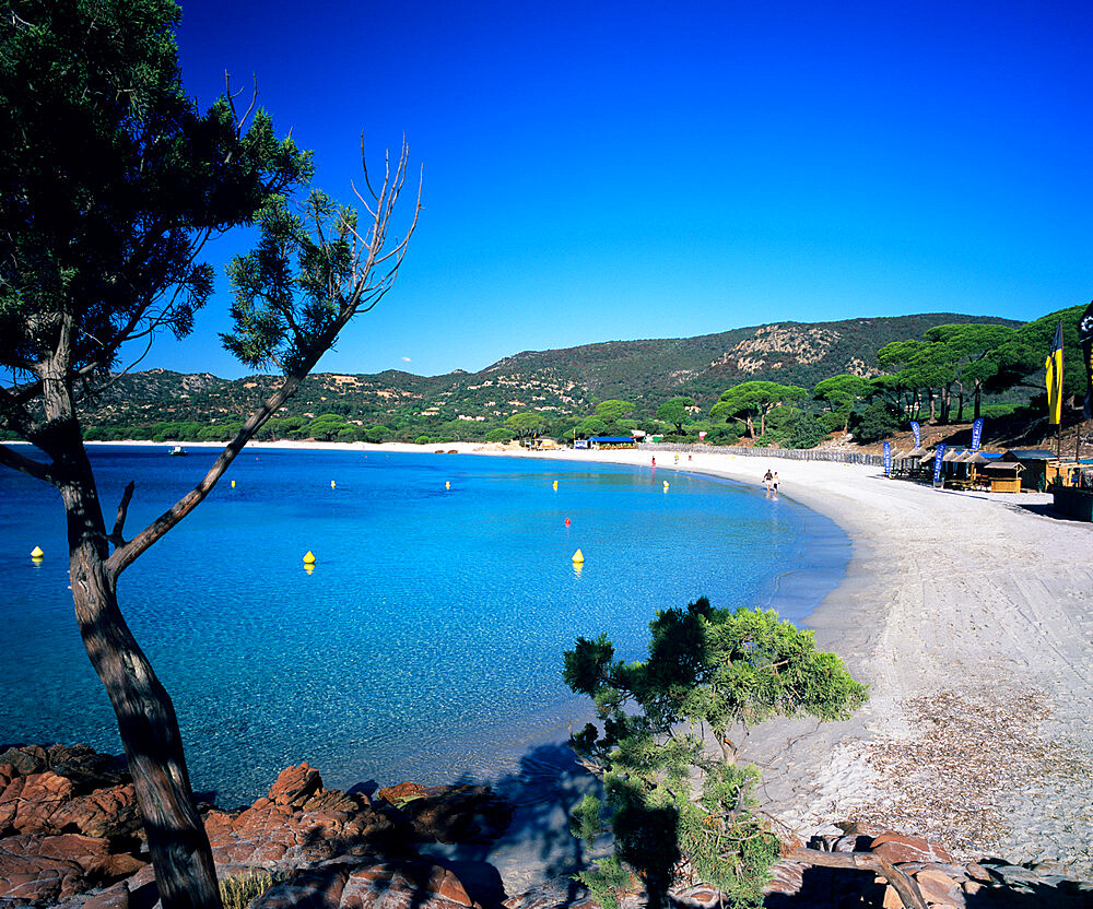 Palombaggia Beach, near Porto Vecchio, South East Corsica, Corsica, France, Mediterranean, Europe