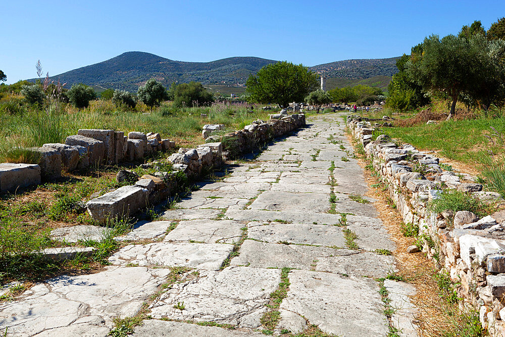 Sacred Way, Ireon archaeological site, Ireon, Samos, Aegean Islands, Greece