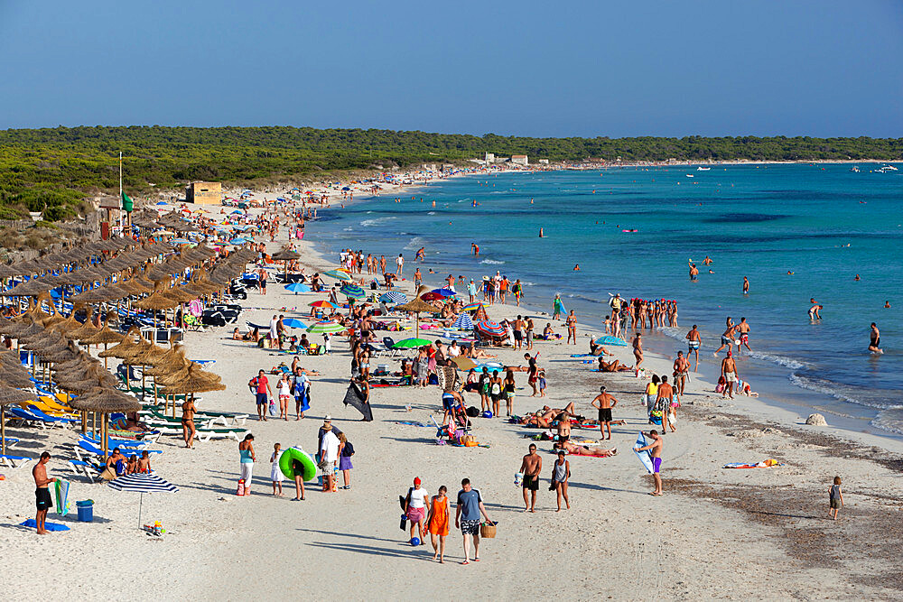 Platja des Trenc, Colonia de Sant Jordi, Mallorca (Majorca), Balearic Islands, Spain, Mediterranean, Europe