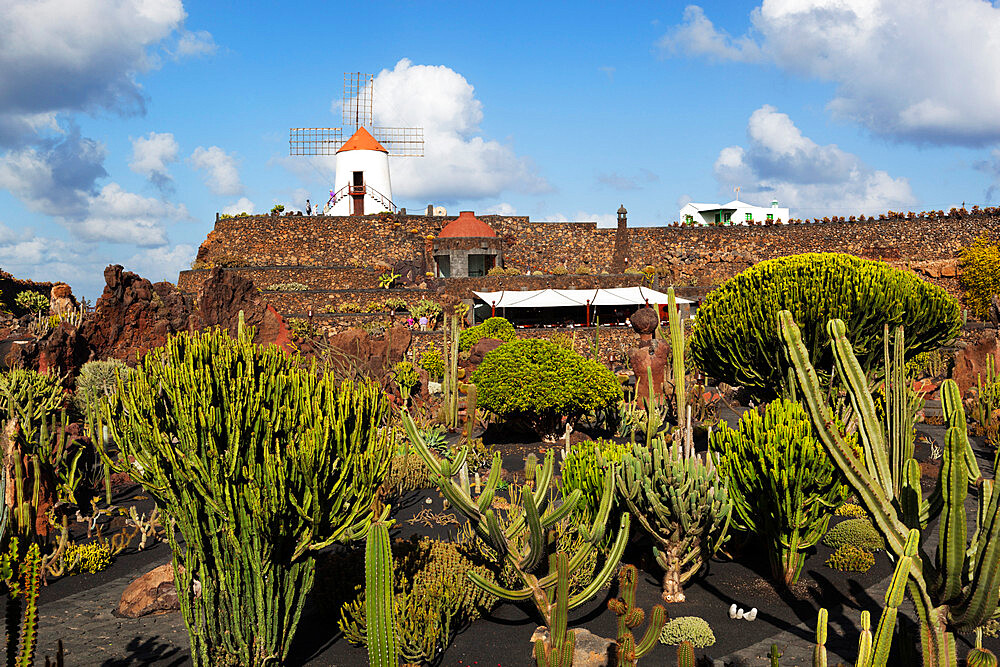 Jardin de Cactus (Cactus Garden), Guatiza, Lanzarote, Canary Islands, Spain