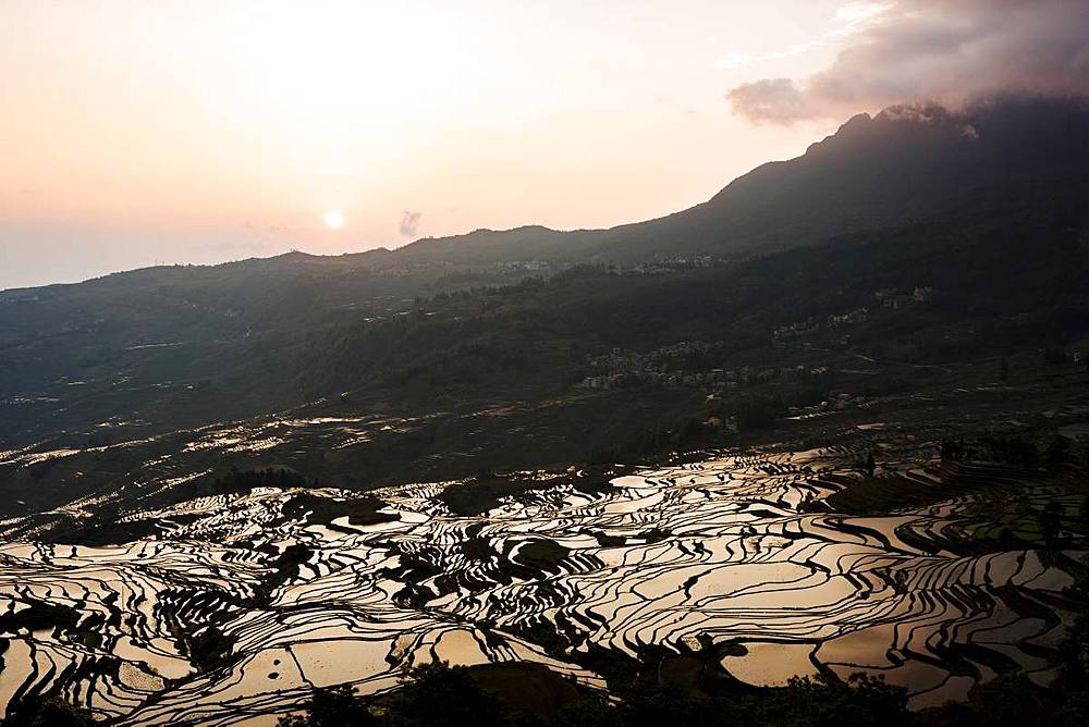 Duoyishu Rice Terraces at dawn, UNESCO World Heritage Site, Yuanyang, Yunnan Province, China, Asia