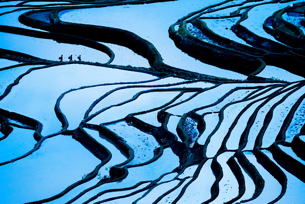 Duoyishu Rice Terraces at dawn, UNESCO World Heritage Site, Yuanyang, Yunnan Province, China, Asia