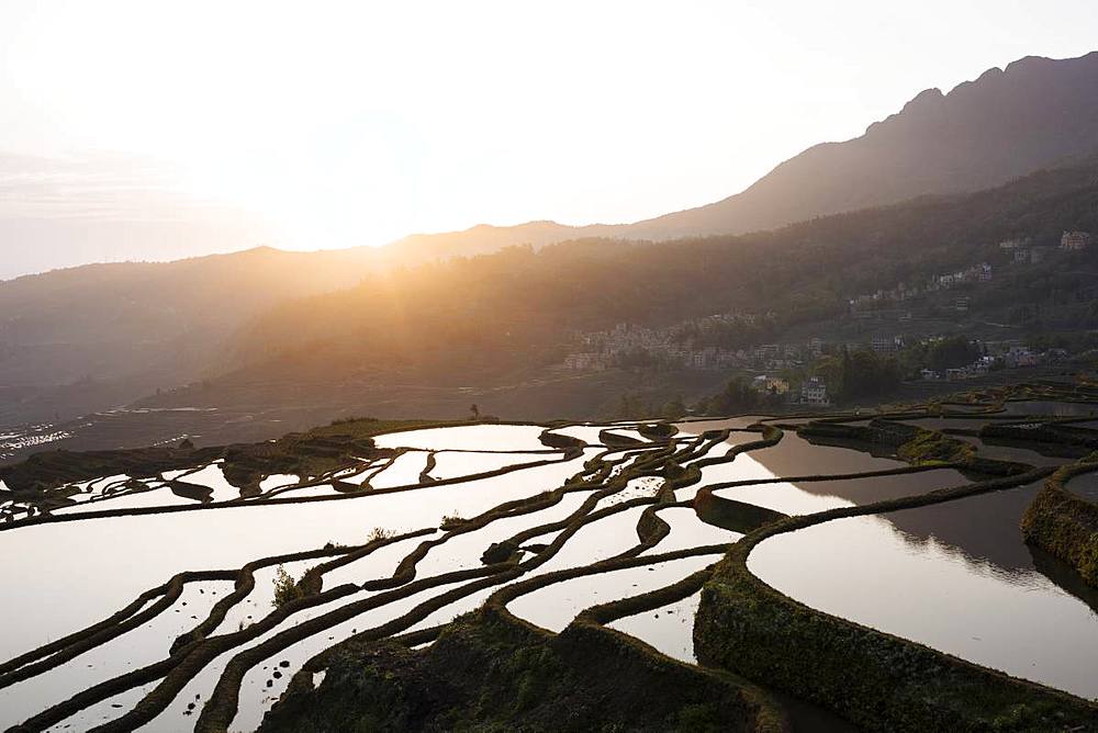 Duoyishu Rice Terraces at dawn, UNESCO World Heritage Site, Yuanyang, Yunnan Province, China, Asia