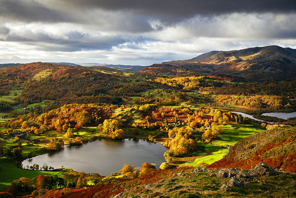 View on autumn dawn from Loughrigg Fell, Lake District National Park, UNESCO World Heritage Site, Cumbria, England, United Kingdom, Europe