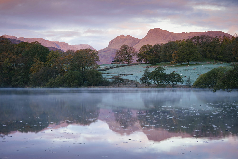 Langdale Pikes at dawn from Loughrigg Tarn, Lake District National Park, UNESCO World Heritage Site, Cumbria, England, United Kingdom, Europe