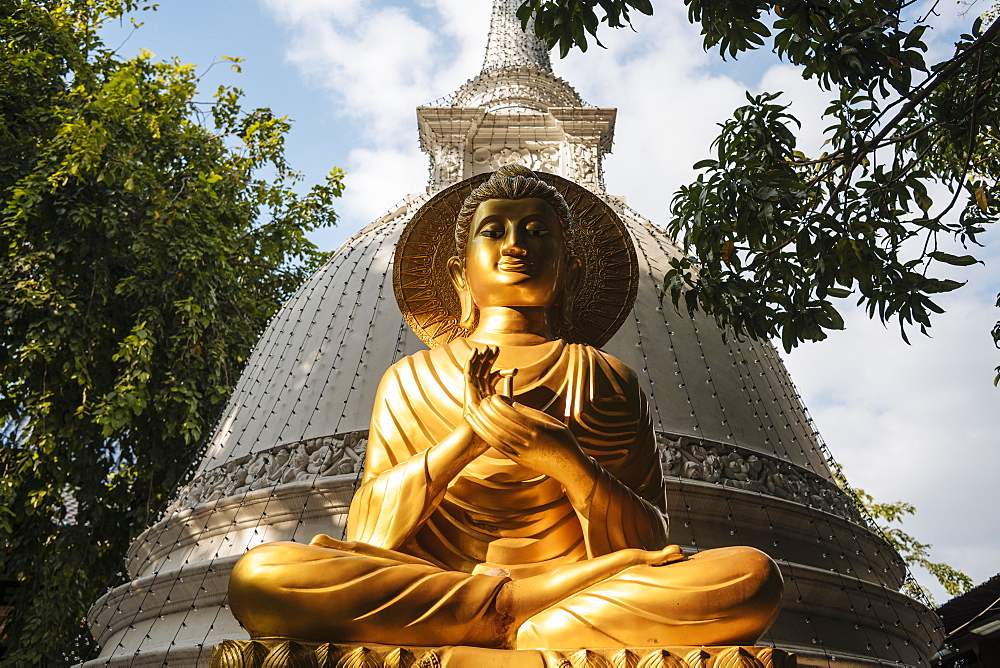 Buddha statue, Gangaramaya Temple, Colombo, Western Province, Sri Lanka, Asia