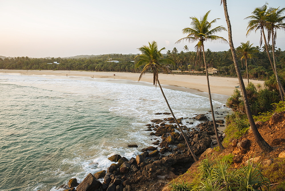 Sunset behind palm trees, Talalla Beach, South Coast, Sri Lanka, Asia