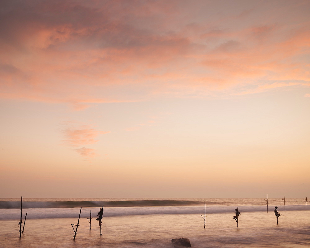 Stilt Fishermen at dusk, Weligama, South Coast, Sri Lanka, Asia