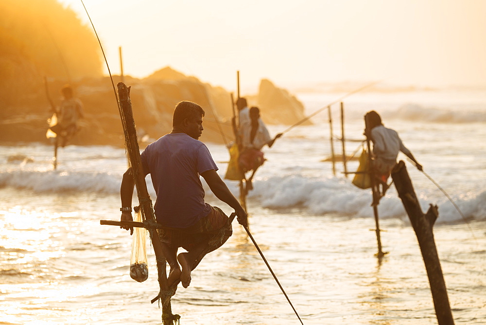 Stilt Fishermen at dawn, Weligama, South Coast, Sri Lanka, Asia