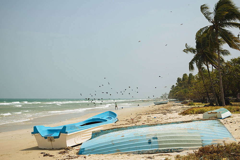 Beach, Delft Island, Northern Province, Sri Lanka, Asia