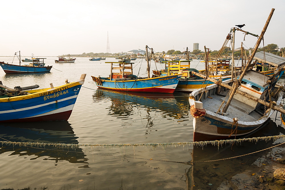 Jaffna Harbour at sunset, Jaffna, Northern Province, Sri Lanka, Asia