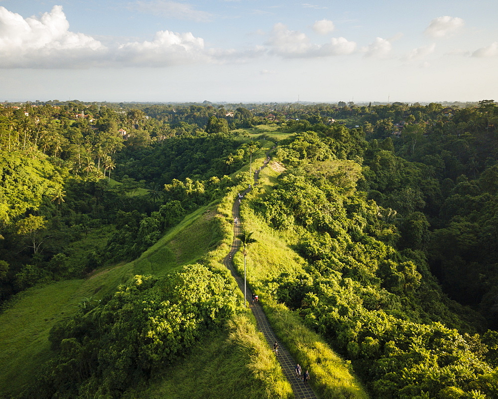 Campuhan Ridge, Ubud, Bali, Indonesia, Southeast Asia, Asia