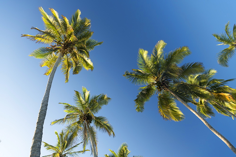 Playa los Angeles, Magdalena Department, Caribbean, Colombia, South America