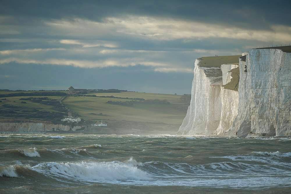 Birling Gap, East Sussex, South Downs National Park, England, United Kingdom, Europe