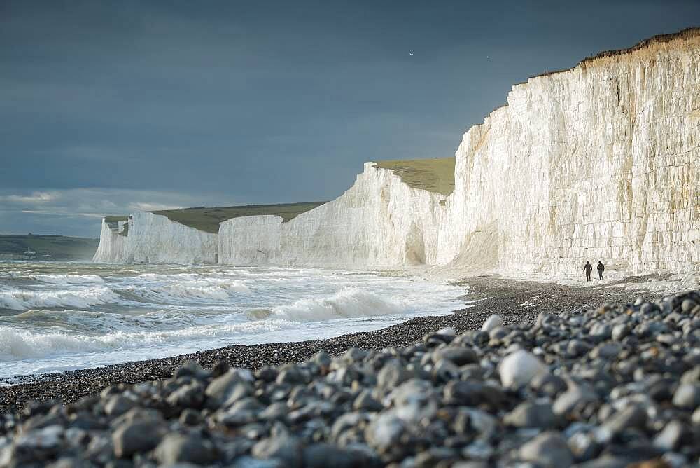 Birling Gap and the Seven Sisters chalk cliffs, East Sussex, South Downs National Park, England, United Kingdom, Europe