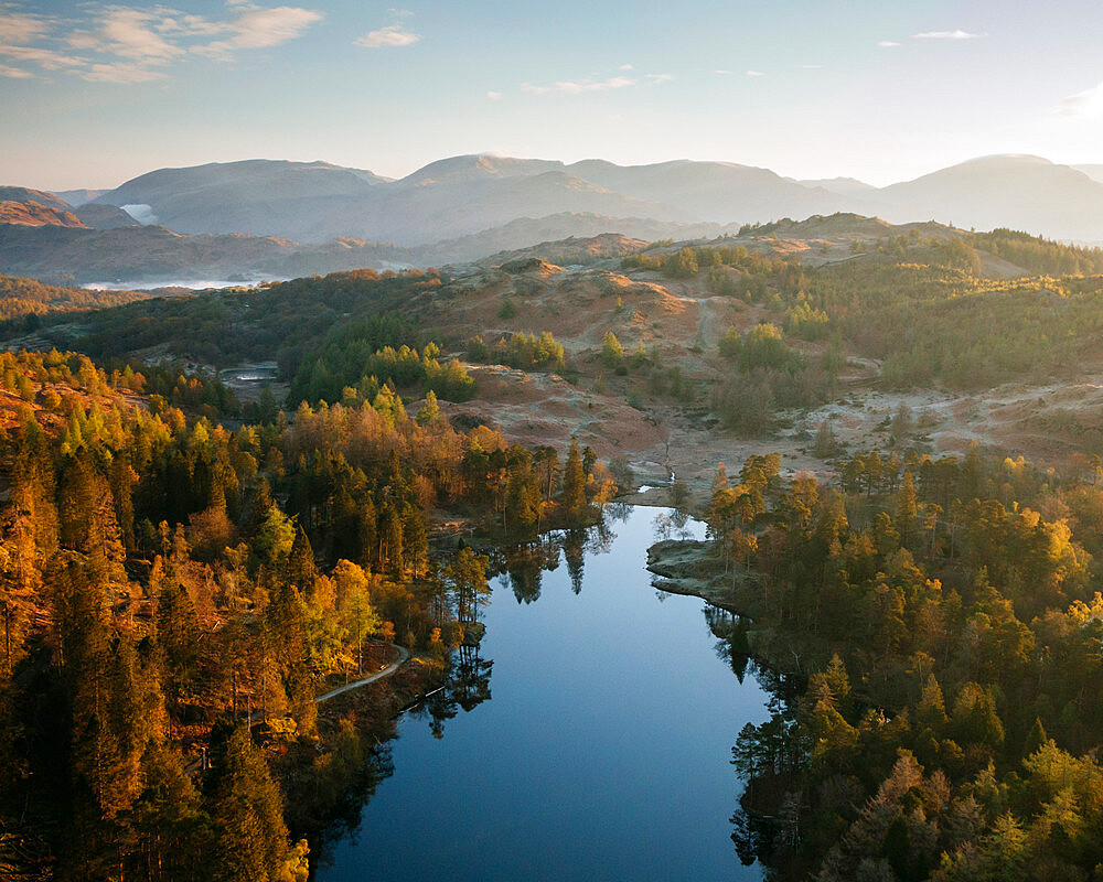 Aerial view over Tarn Hows at dawn, Lake District National Park, UNESCO World Heritage Site, Cumbria, England, United Kingdom, Europe