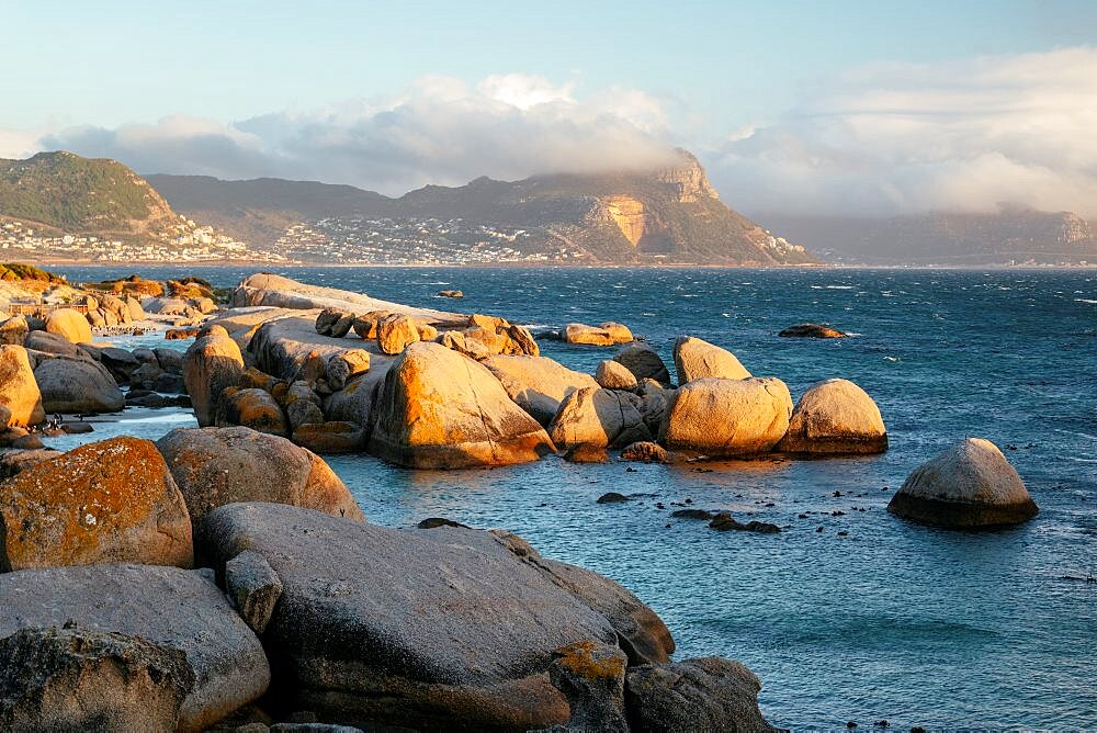 Boulders Beach, Cape Town, Western Cape, South Africa