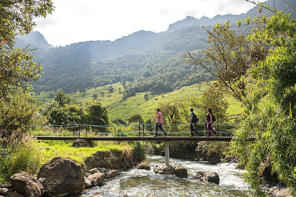 Hikers crossing bridge, Termas de Papallacta, Napo, Ecuador, South America