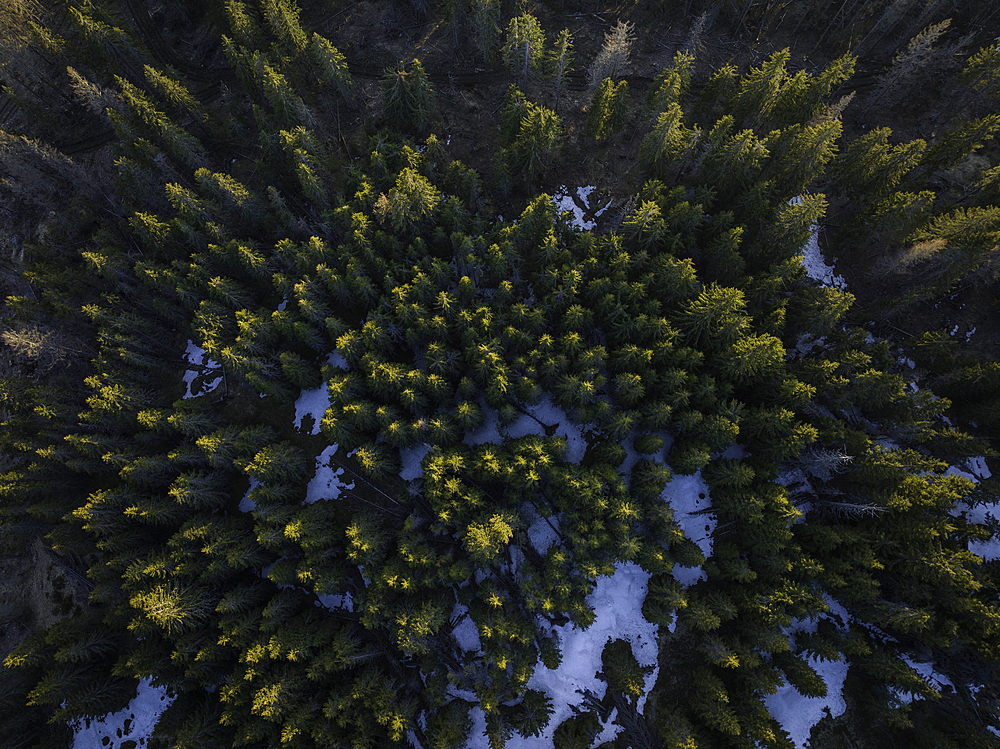 Aerial of forest landscape near Nucsoara, Arges County, Muntenia, Romania, Europe