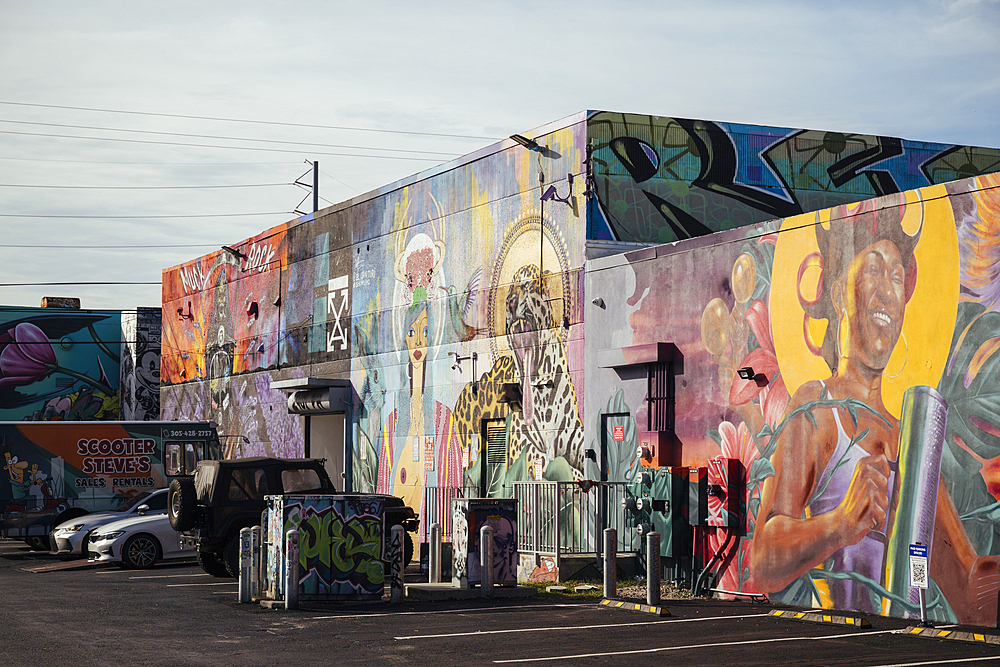 Wall Murals, Wynwood District, Miami, Dade County, Florida, United States of America, North America