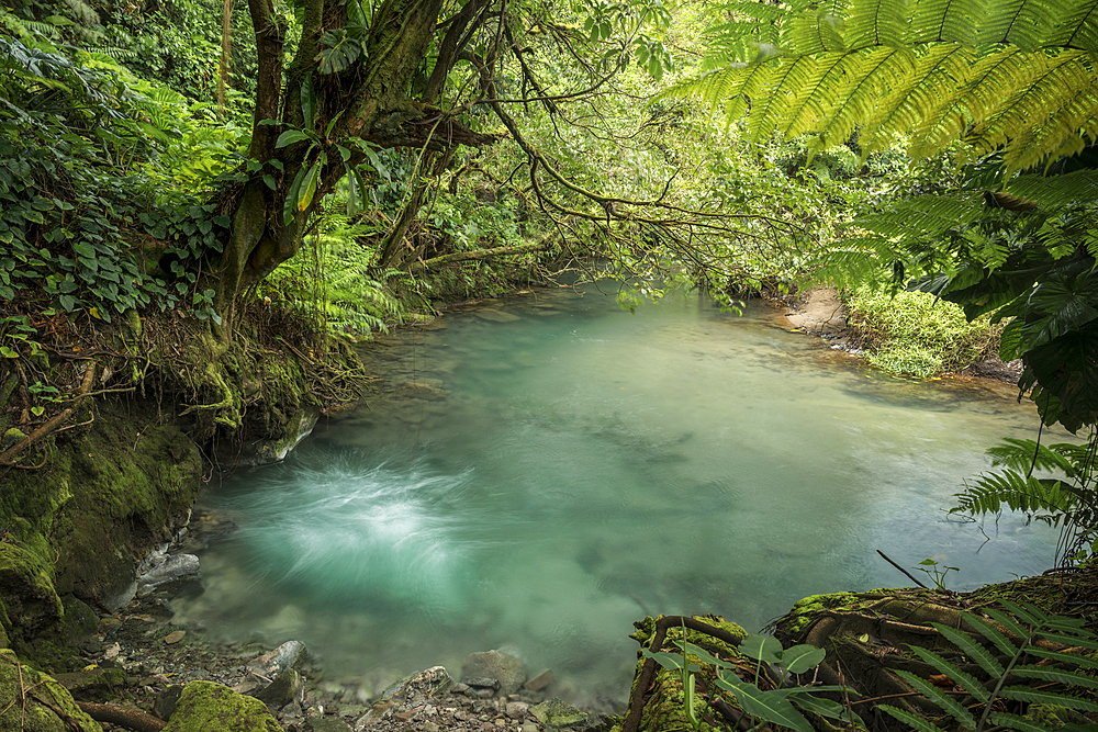 Río Celeste, Parque Nacional Volcan Tenorio, Alajuela Province, Costa Rica, Central America