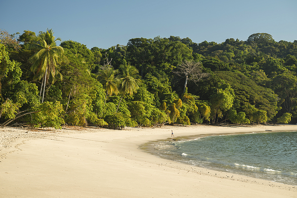 Manuel Antonio National Park, Puntarenas Province, Costa Rica, Central America