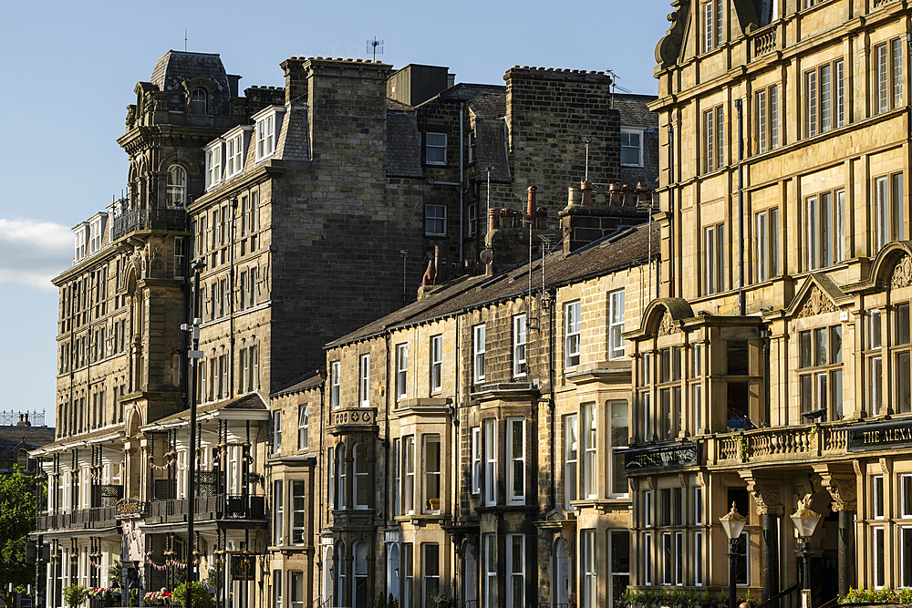 Harrogate, Yorkshire, England, United Kingdom, Europe