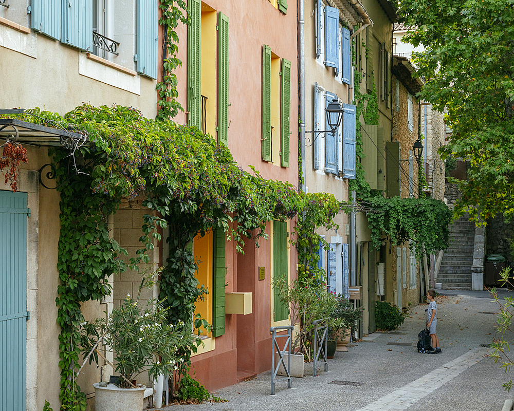 Puyloubier, Bouches du Rhone, Provence Alpes Cote d'Azur, France, Europe