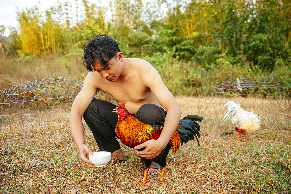 Tai feeding his hens, Lê Bát, Phu Quoc Island, Vietnam