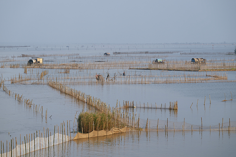 Fishing nets at Dam Thanh Lam near Hue, Thua Thien Hue, Vietnam